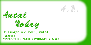 antal mokry business card